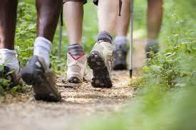 Walking