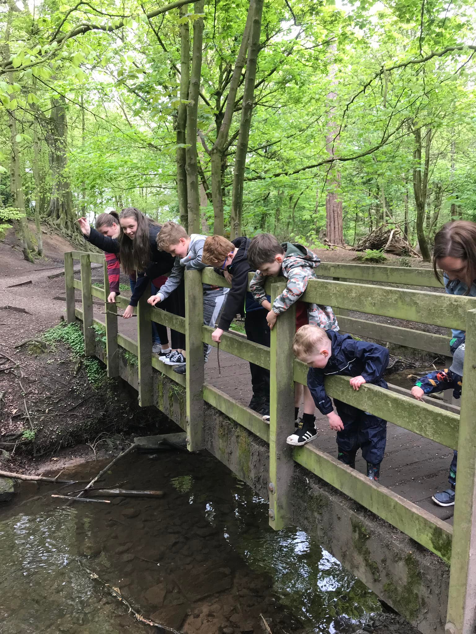 Playing Pooh Sticks