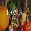 Harvest - All Age Holy Communion Service